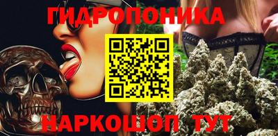 шишки Апшеронск