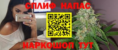 шишки Апшеронск