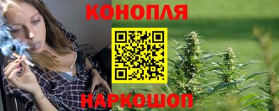 шишки Апшеронск