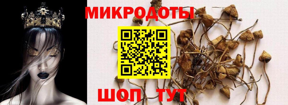 Псилоцибиновые грибы MAGIC MUSHROOMS  Вход с VPN  Псилоцибиновые грибы Psilocybine cubensis  Балашиха 